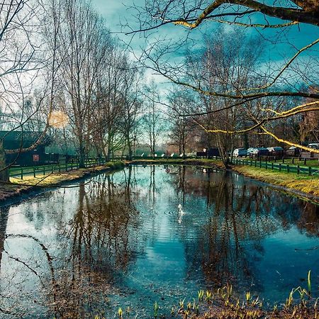 Hotel Sherwood Castle Holiday Forest Edwinstowe Zewnętrze zdjęcie